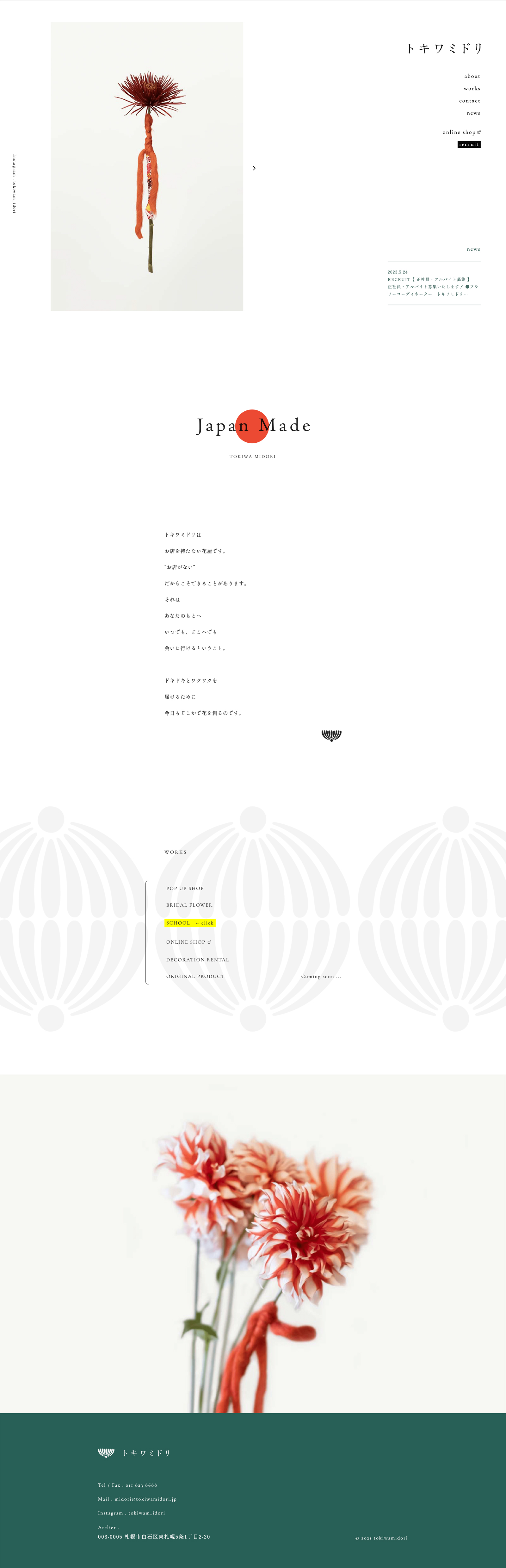 トキワミドリ様