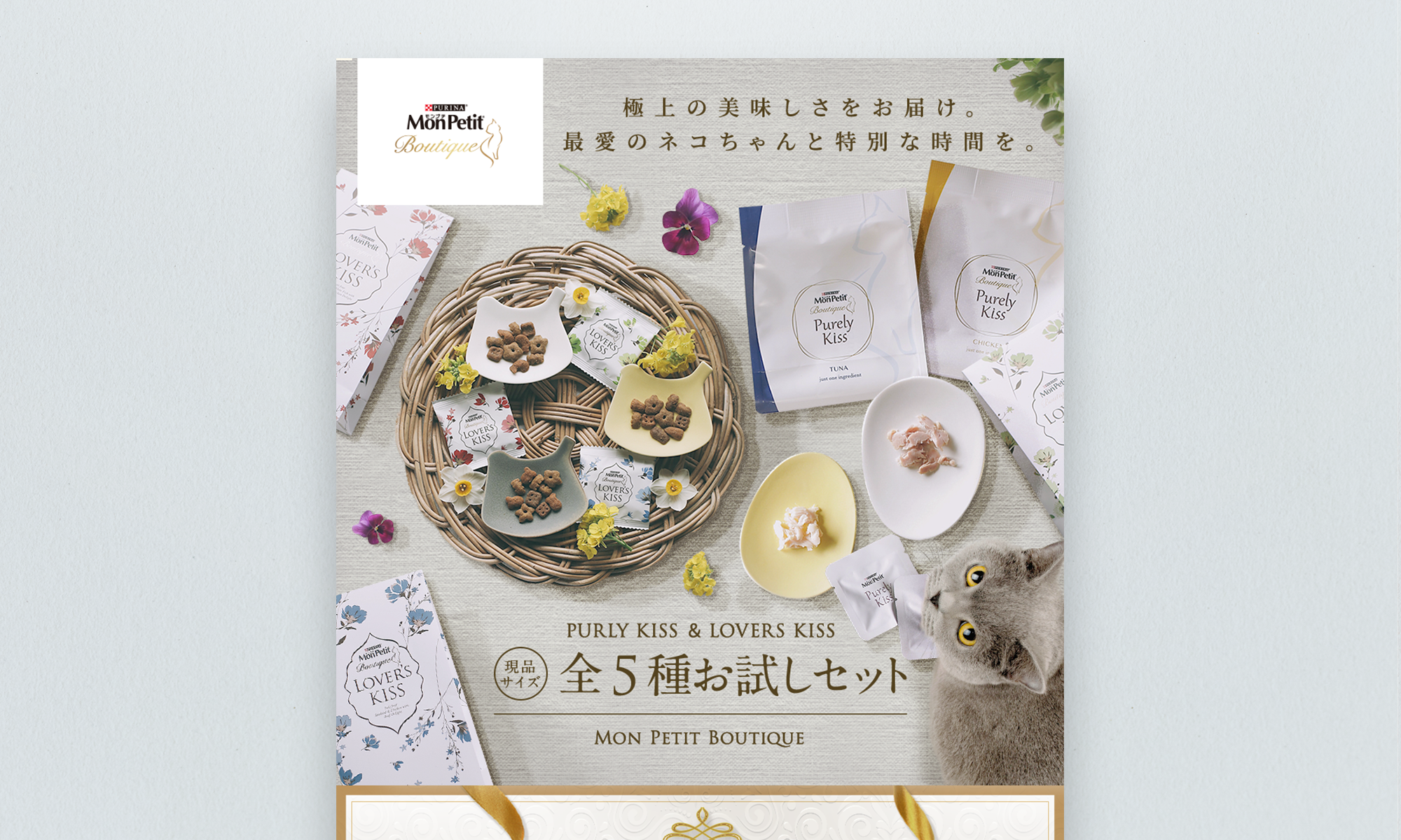 ネスレ日本株式会社様 モンプチ5種お試しセット